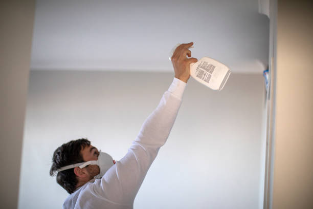 Best Home Mold Removal  in Harrison, NJ