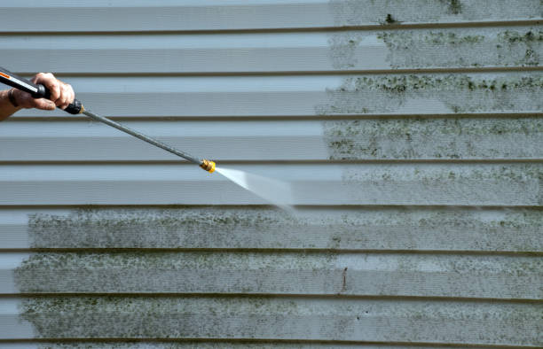 Best Mold Remediation Services  in Harrison, NJ