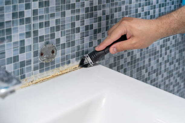Best Professional Mold Removal  in Harrison, NJ