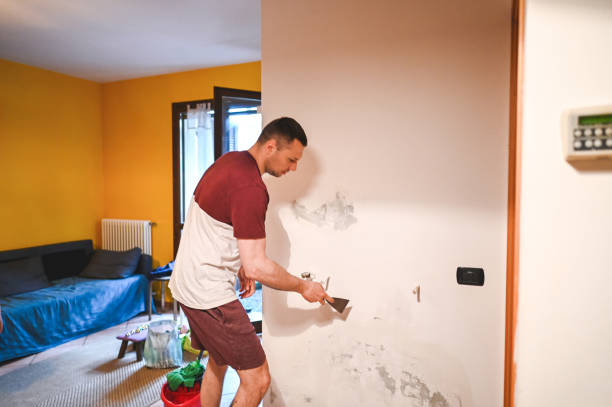 Best Crawl Space Mold Removal  in Harrison, NJ